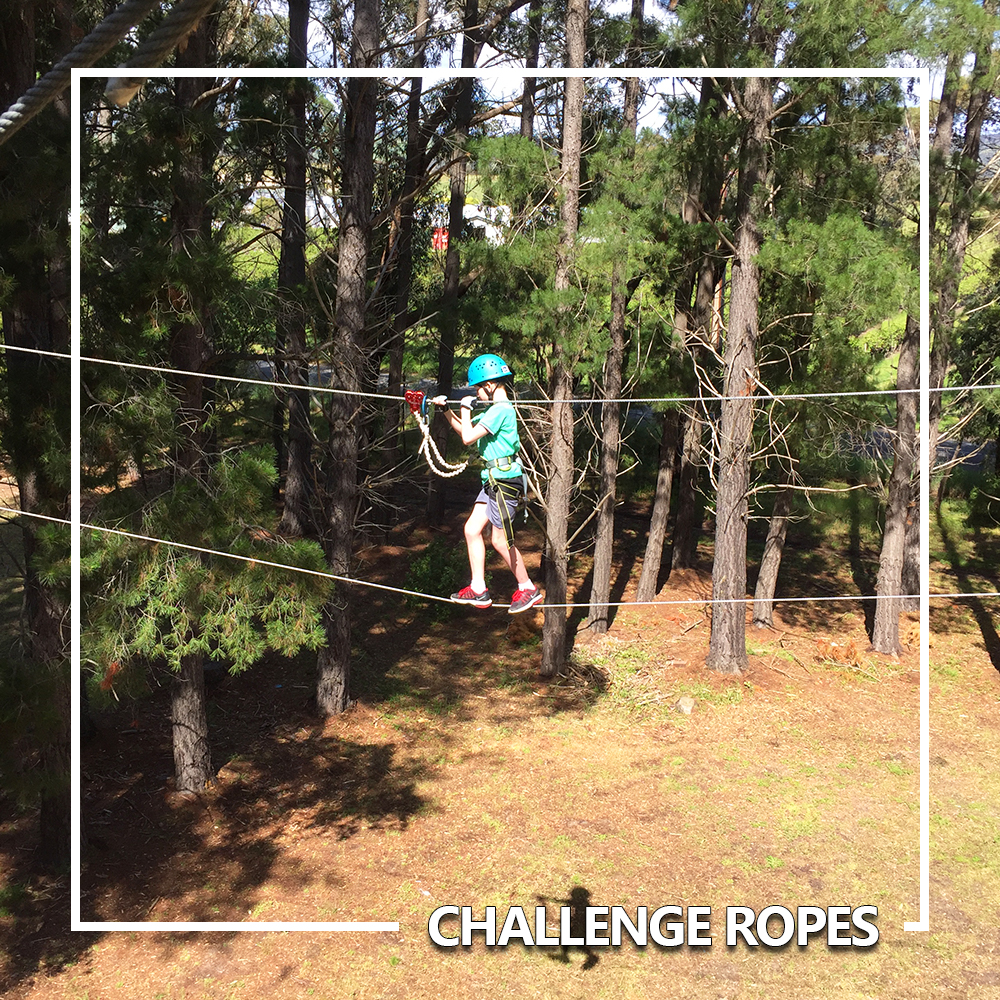 wilderness escape challenge ropes